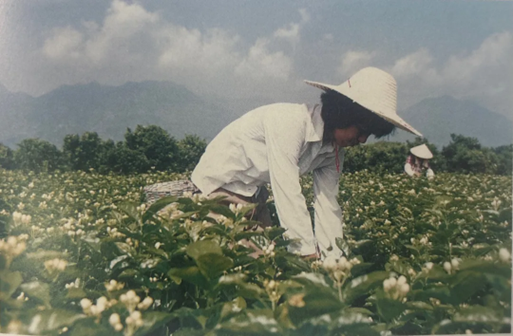 Setting Sail (Part1)