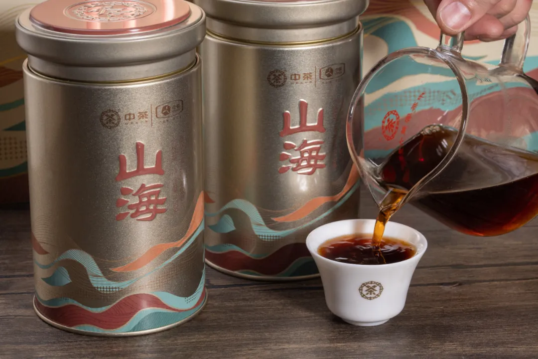 Gift of the Silk Road, Charm of Mountains and Seas丨