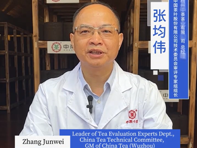 133: The aging of China Tea cellar stored Liupao tea