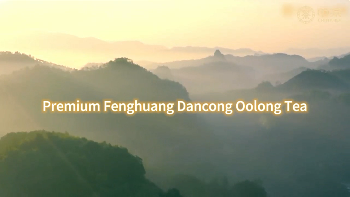 390: Premium Fenghuang Dancong Oolong Tea