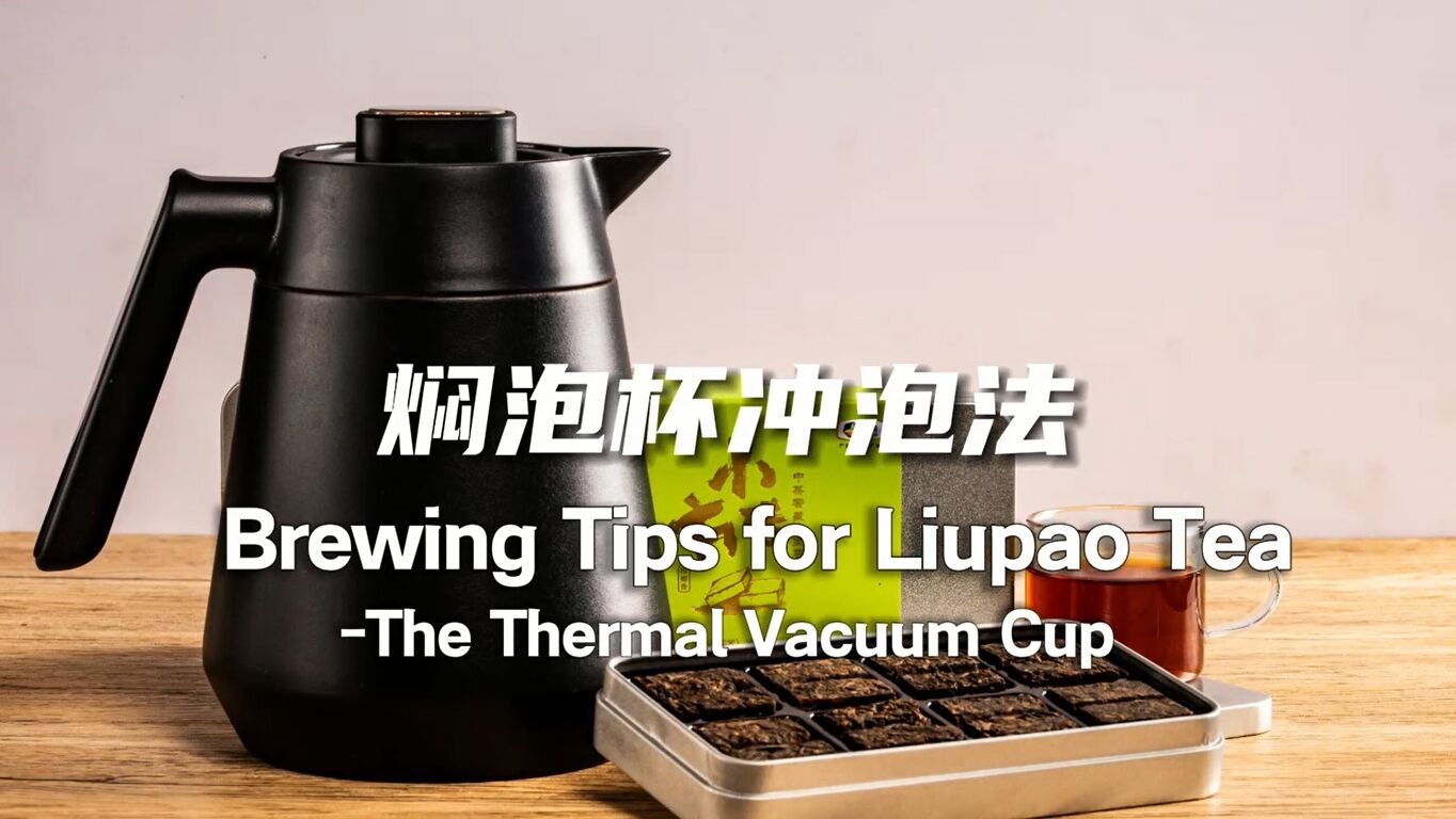 359:Brewing Tips for Liupao Tea - The Thermal Vacuum Cup