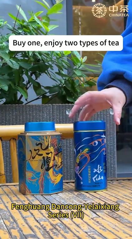 441: فنغهوانغ دانكونغ - سلسلة ييلاي شيانغ (الإصدار السابع)