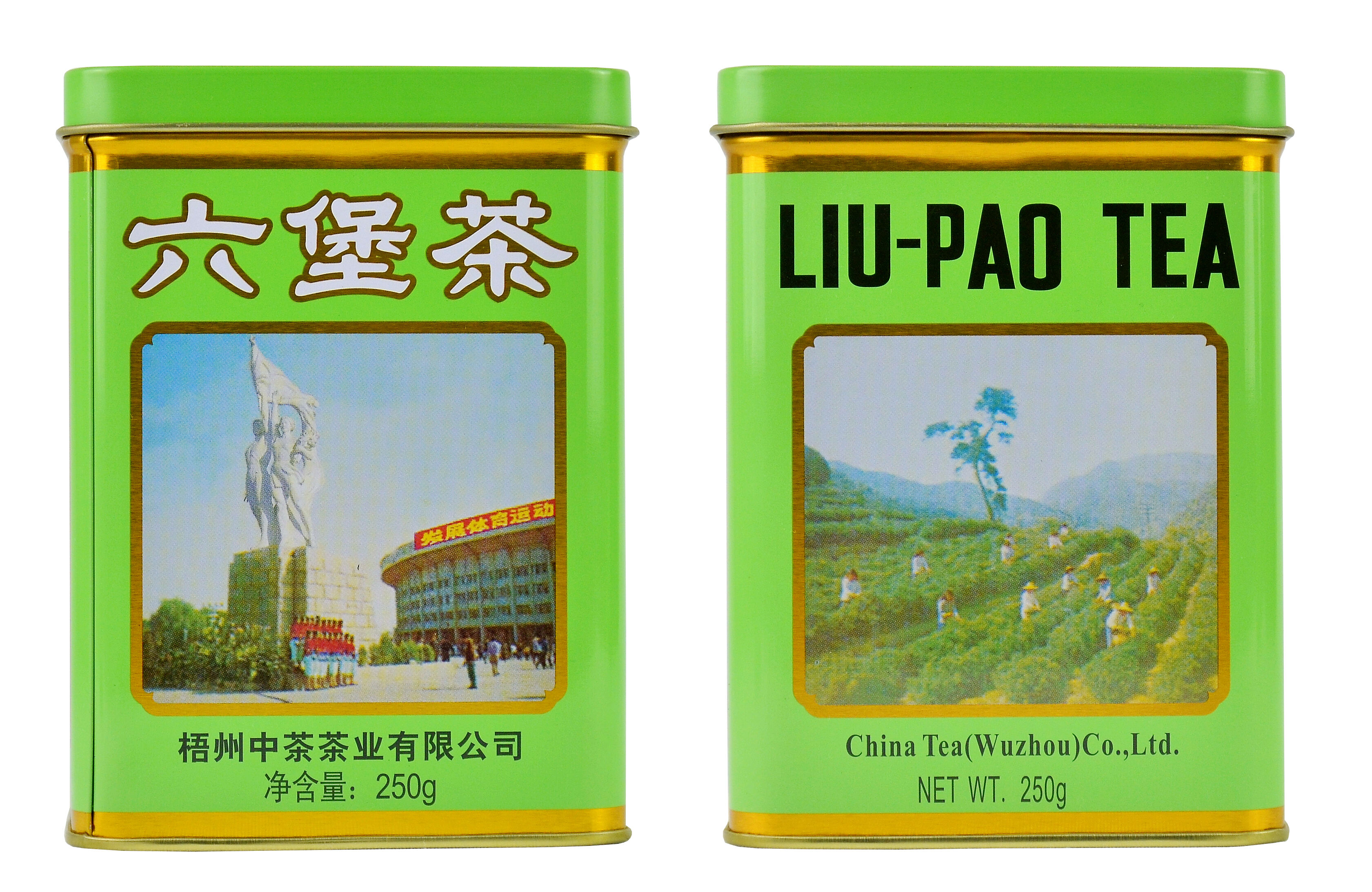 GX18 Gymnasium Series Liupao Tea