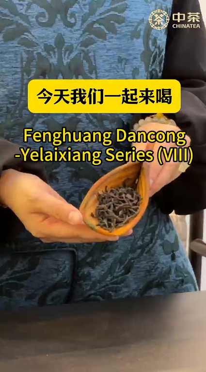 443: فنغهوانغ دانكونغ - سلسلة ييلاي شيانغ (الإصدار الثامن)