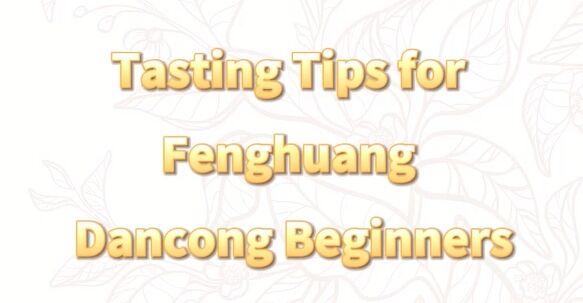 290: Beginners, how to find your Fenghuang Dancong?