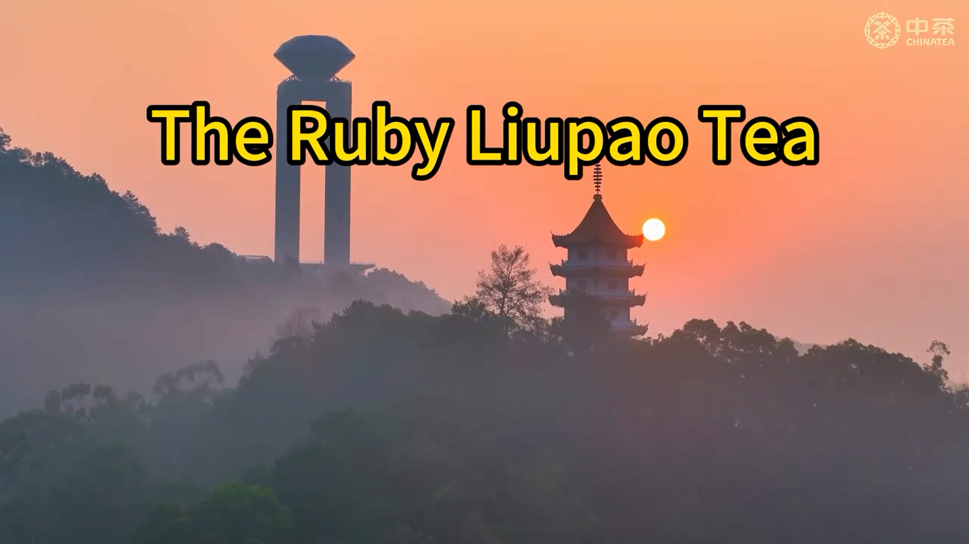 451: شاي ربي ليوباو من شركة شاي الصين (ووزهو)