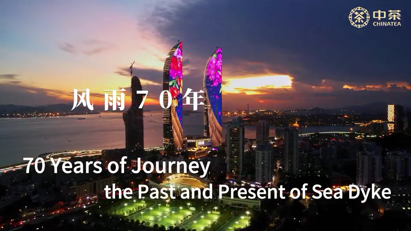 388: 70 Years of Journey, the Past and Present of Sea Dyke