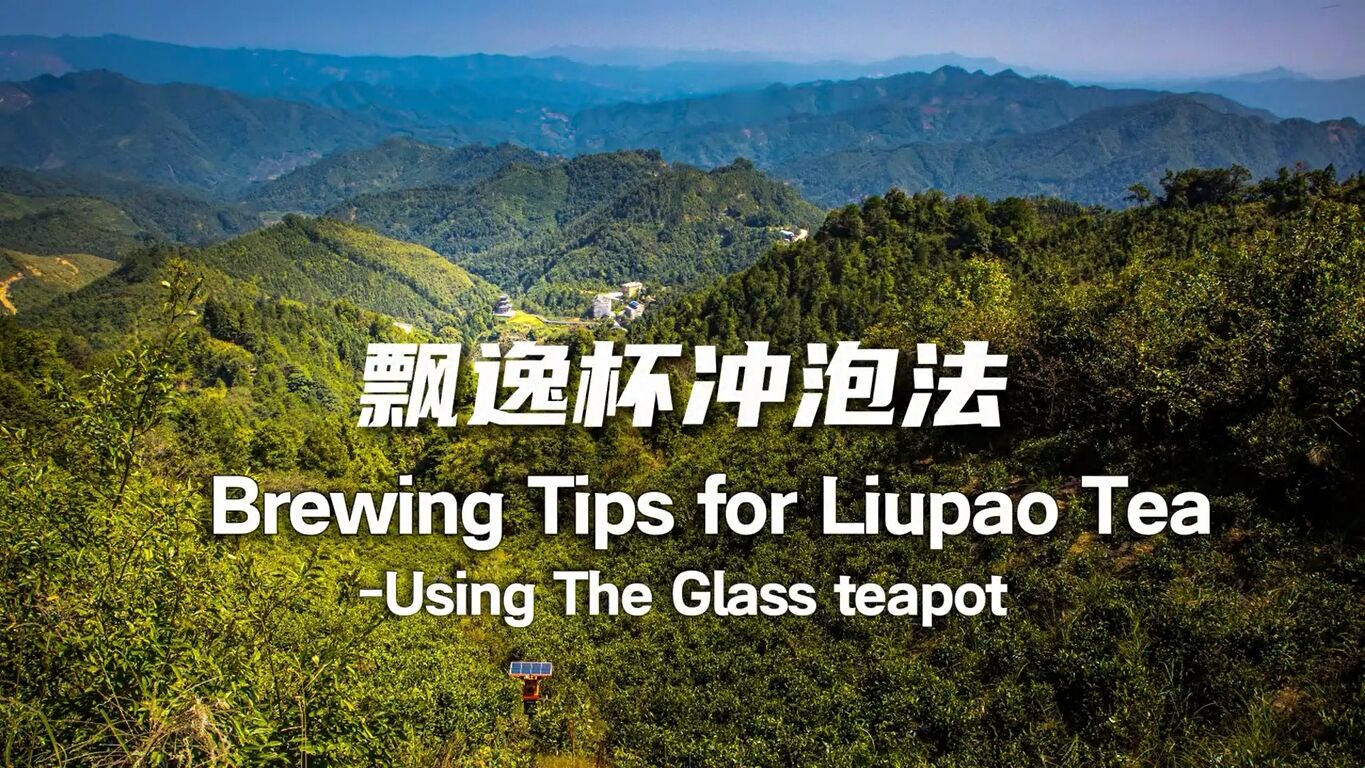 358:Brewing Tips for Liupao Tea -Using The Glass teapot