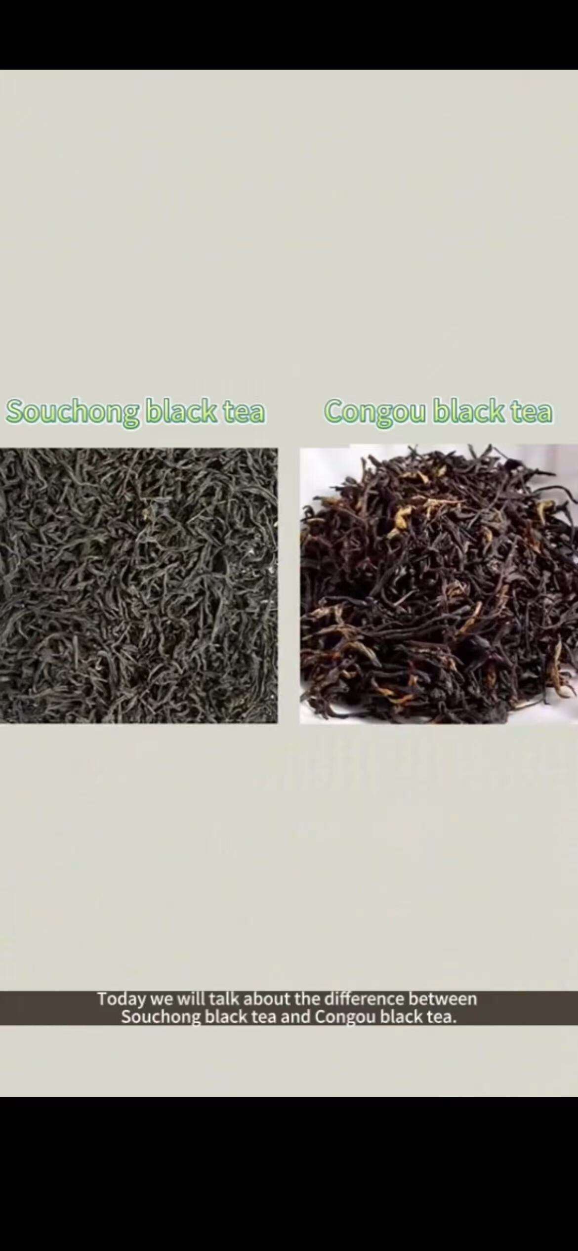 099: The difference between Lapsang Souchong and Congou black tea