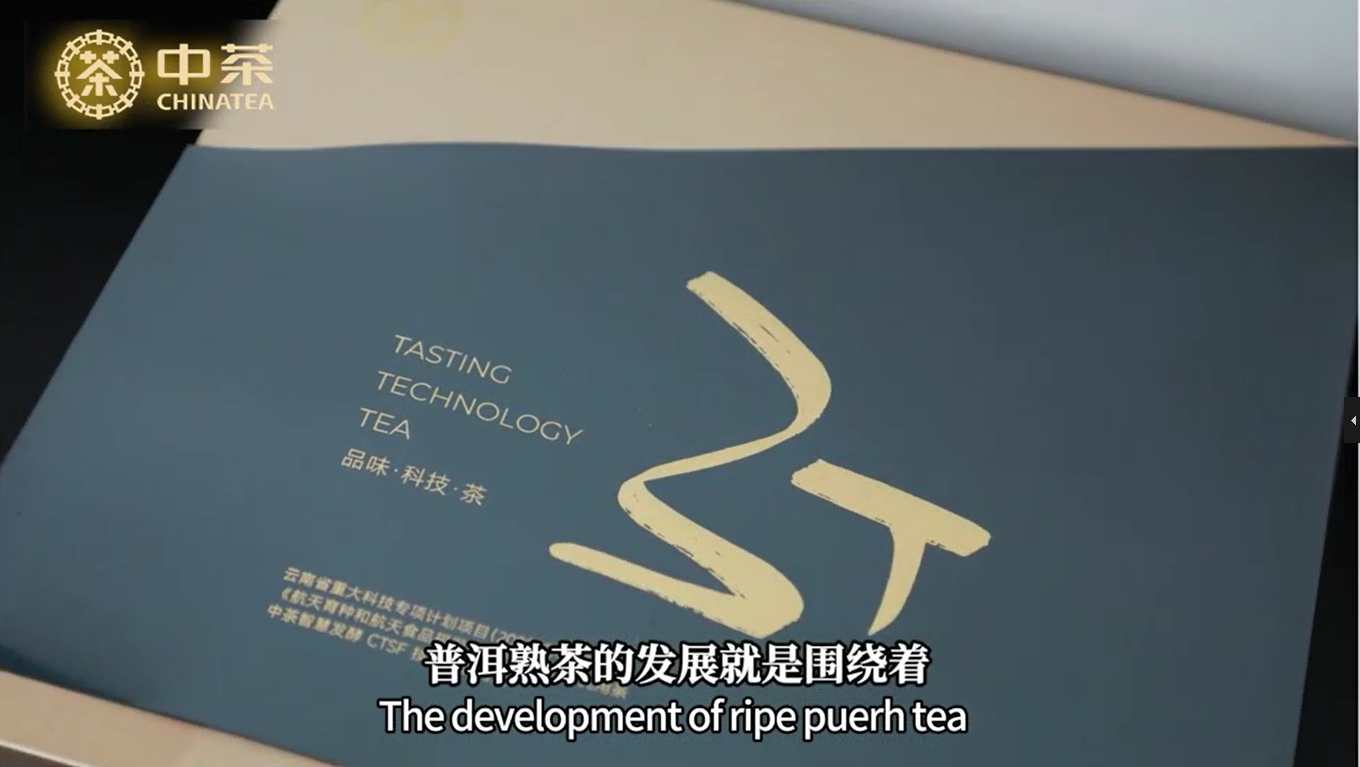 372:The 3rd Generation Puerh Tea
