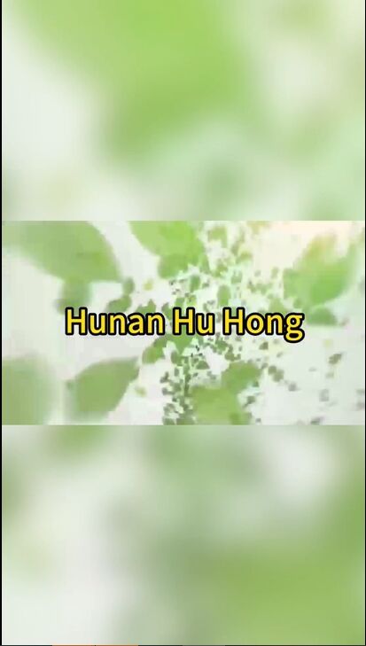 219: Teh Hitam Hunan
