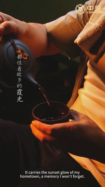 398: China Tea XianGuo Liupao Tea