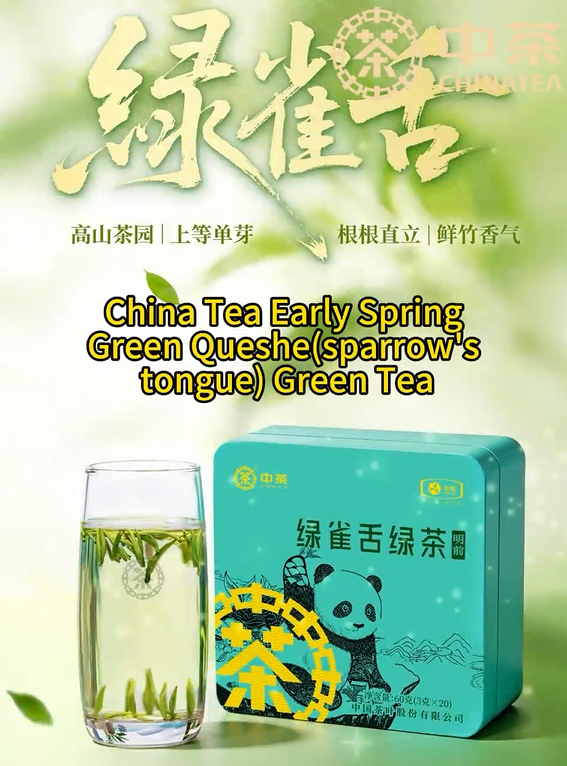 450: شاي تشاينا تي الأخضر المبكر الربيعي من نوع تشيو شي (لسان العصفور)