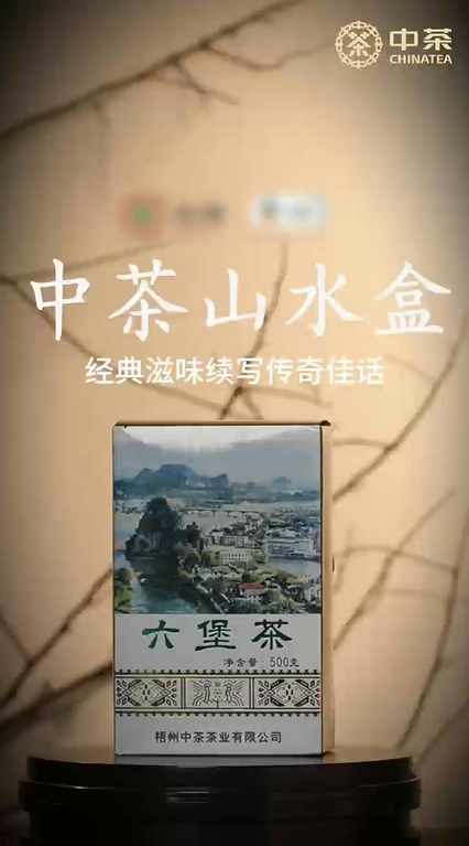 406:China Tea Shanshui Box Liupao Tea