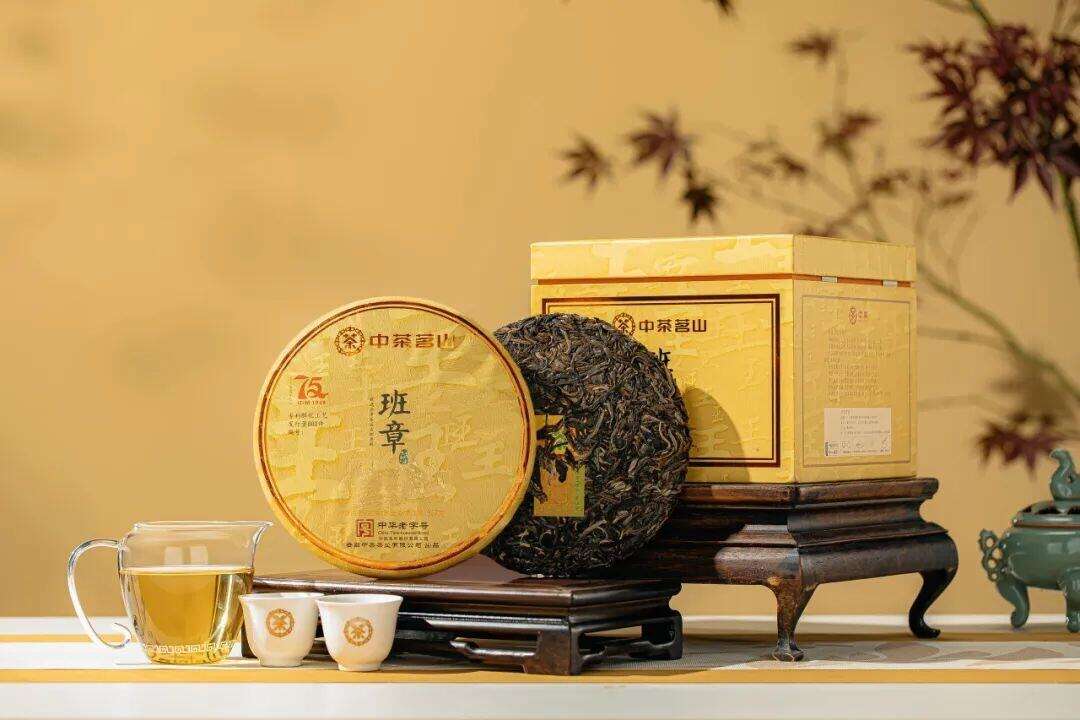 Pu’er Tea Collection – From Ancient Forests to Your Cup