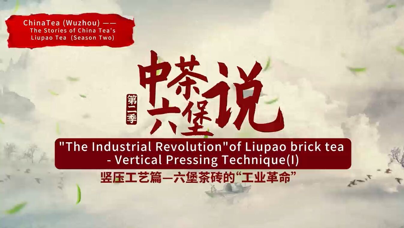 332: Teh pucuk Liupao-Teknik Pemampatan Vertikal(I)