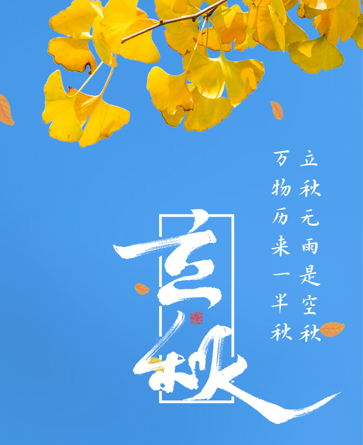 立秋主图.jpg