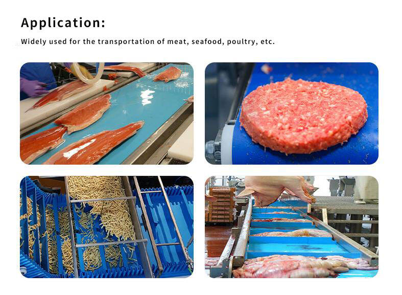 Application of Food Grade Conveyor Belts.jpg