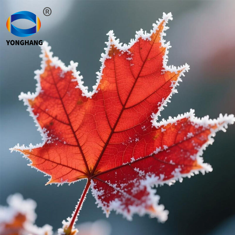 霜降主图 (1).jpg