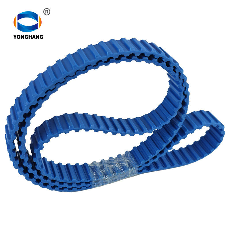 25-DBT10-1450 Baltei Temporales Salsiccarum