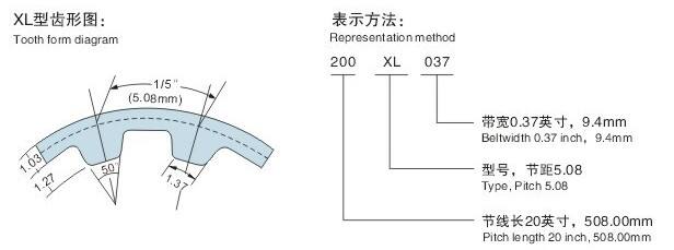 XL.jpg