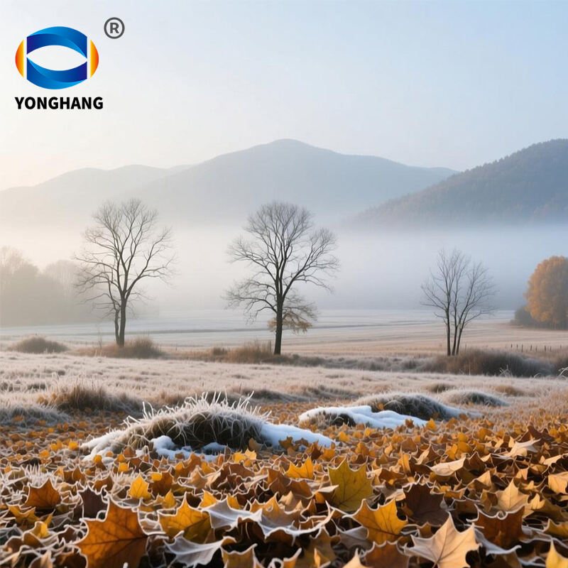 霜降主图 (2).jpg