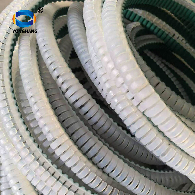 Tamamilə Sonsuz Kukuli Kemerləri