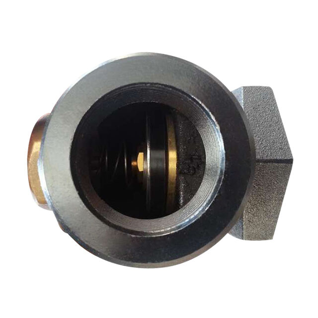 Angle Check Valve ZCCV-01
