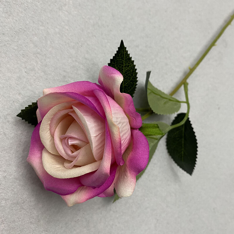 Meichen single velvet rose