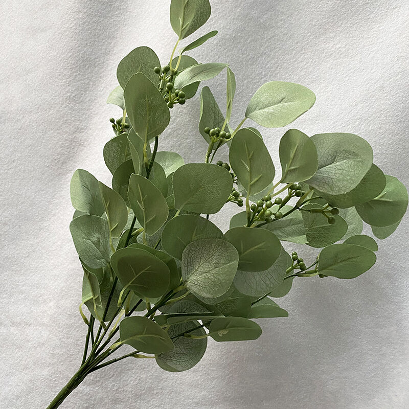 Unaprijedite svoj prostor stvarnošću hibiskusa s pravim dodirom