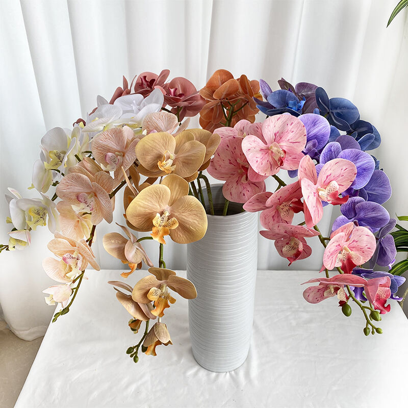 9-head 3D French Phalaenopsis