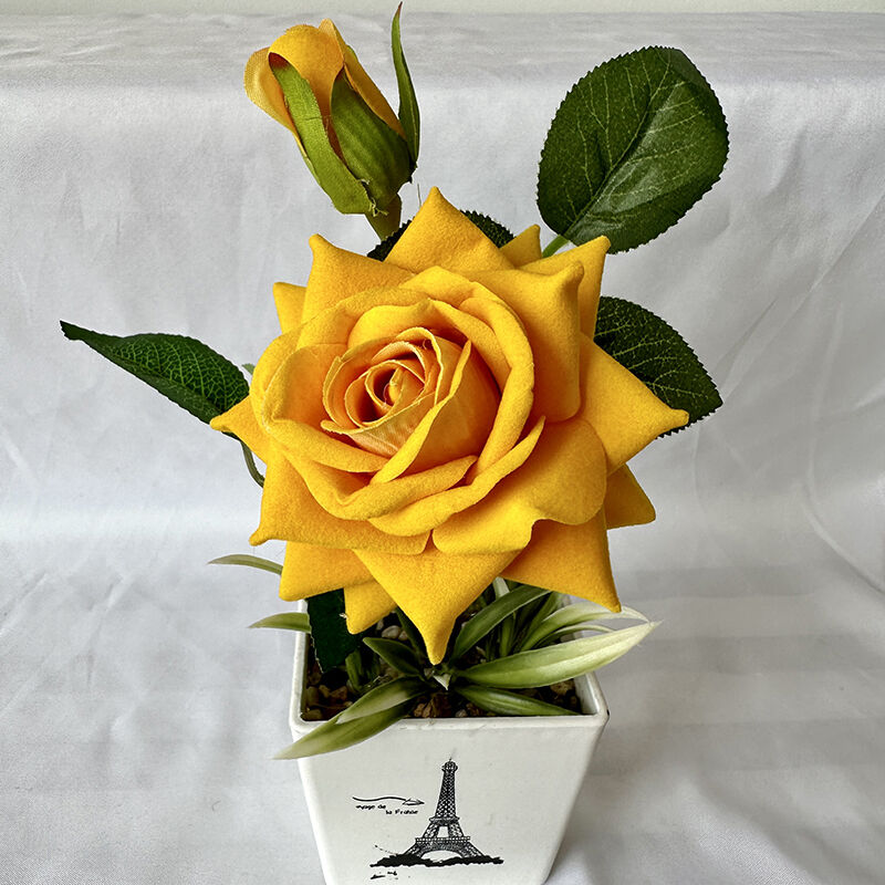 Жакшы жана жаман жактары