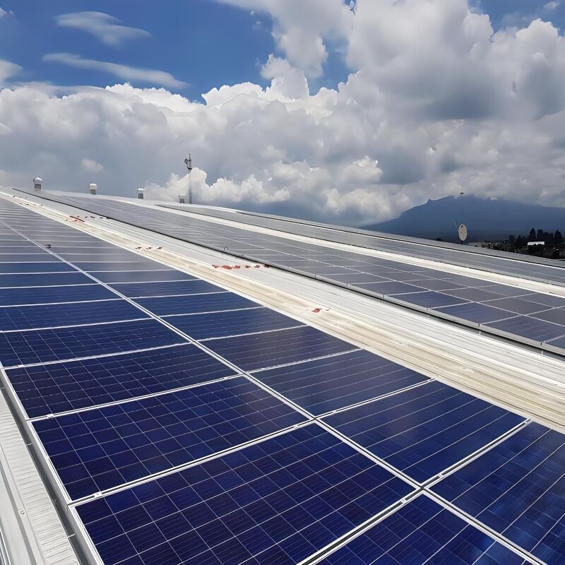 Engineering Expertise Across Global Standards