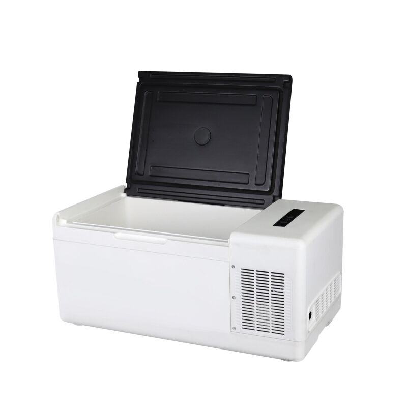 Sophisticated technology Dc Compressor Cooler Box Mini Freezer Car ...