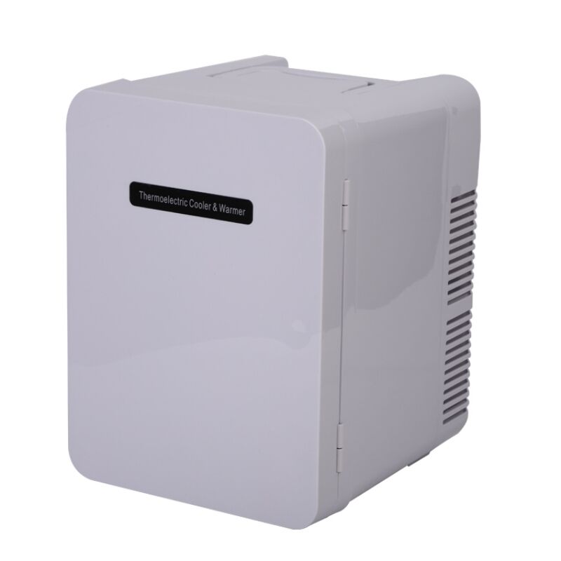 Factory price Compressor Portable Refrigerator 9LCar Portable Refrigerator DC12V/Ac100V Car Fridges Frzzers Refrigerator