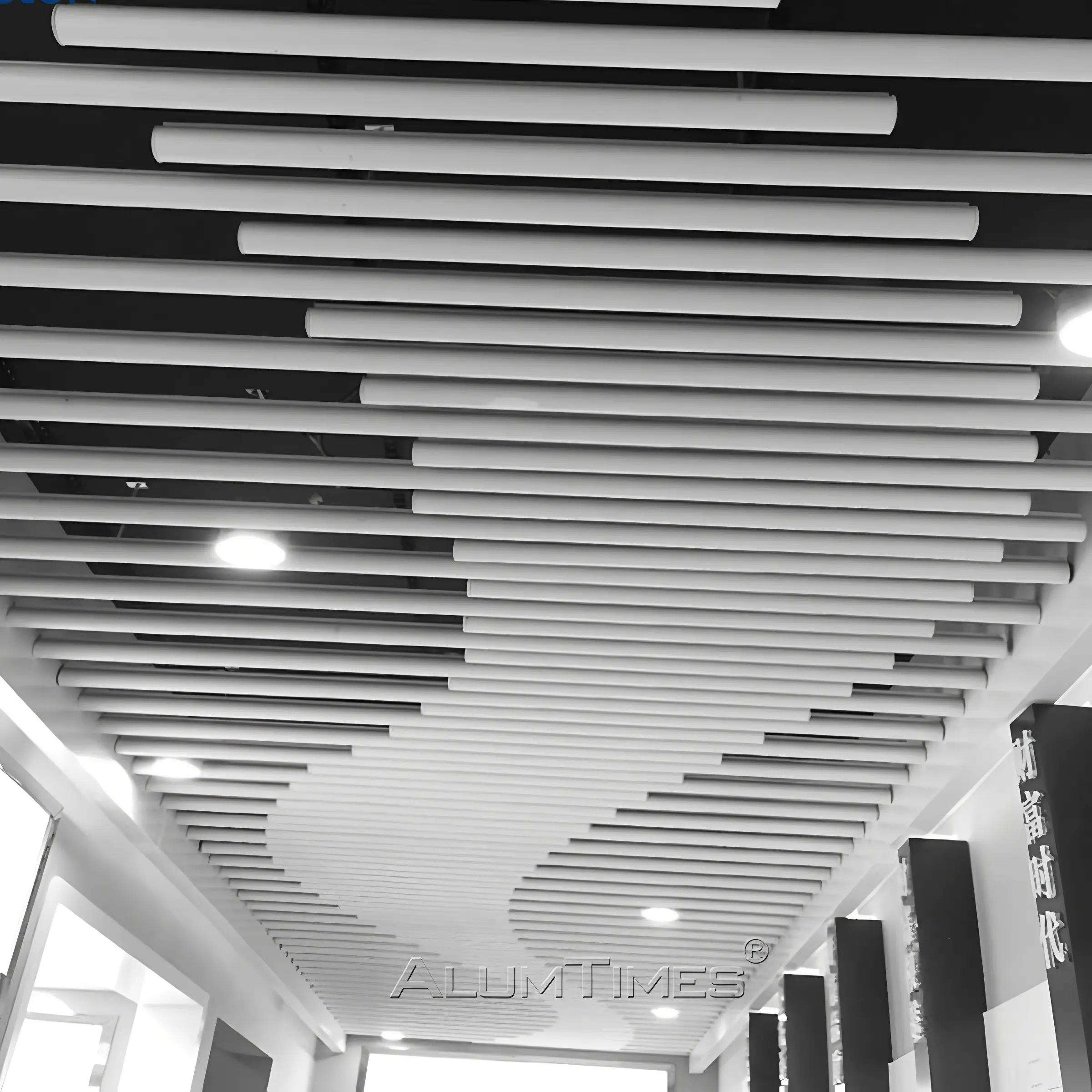Vaulted Ceiling | Aluminum Vaulted Ceiling Panels For Modern Buildings