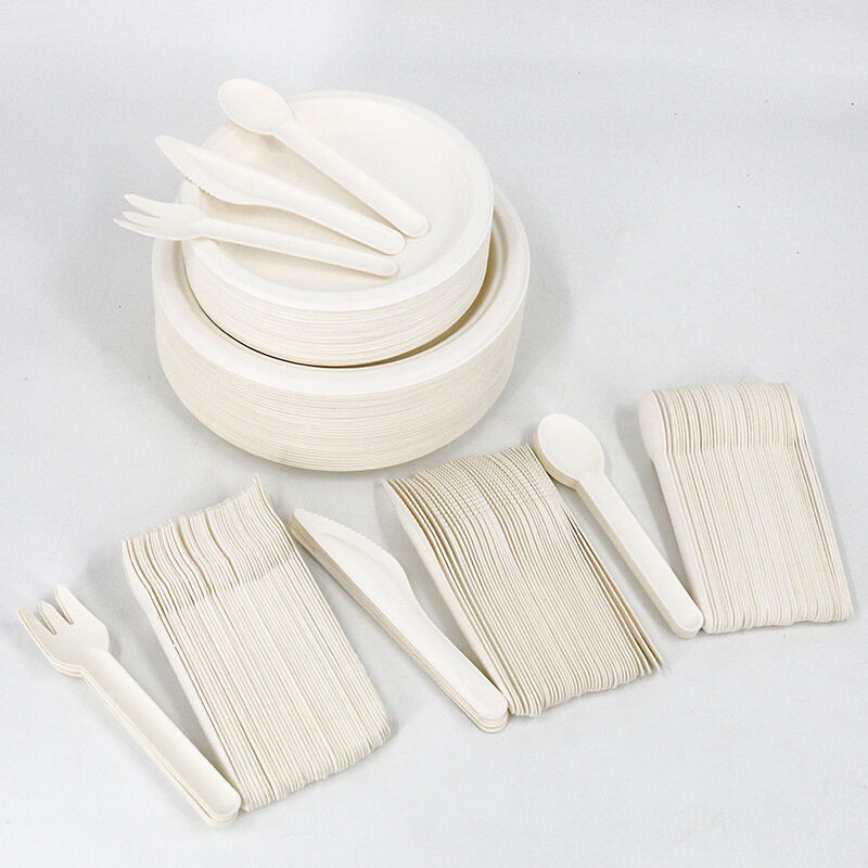 ‌Sugarcane Bagasse Tableware: An Innovative and Sustainable Choice‌