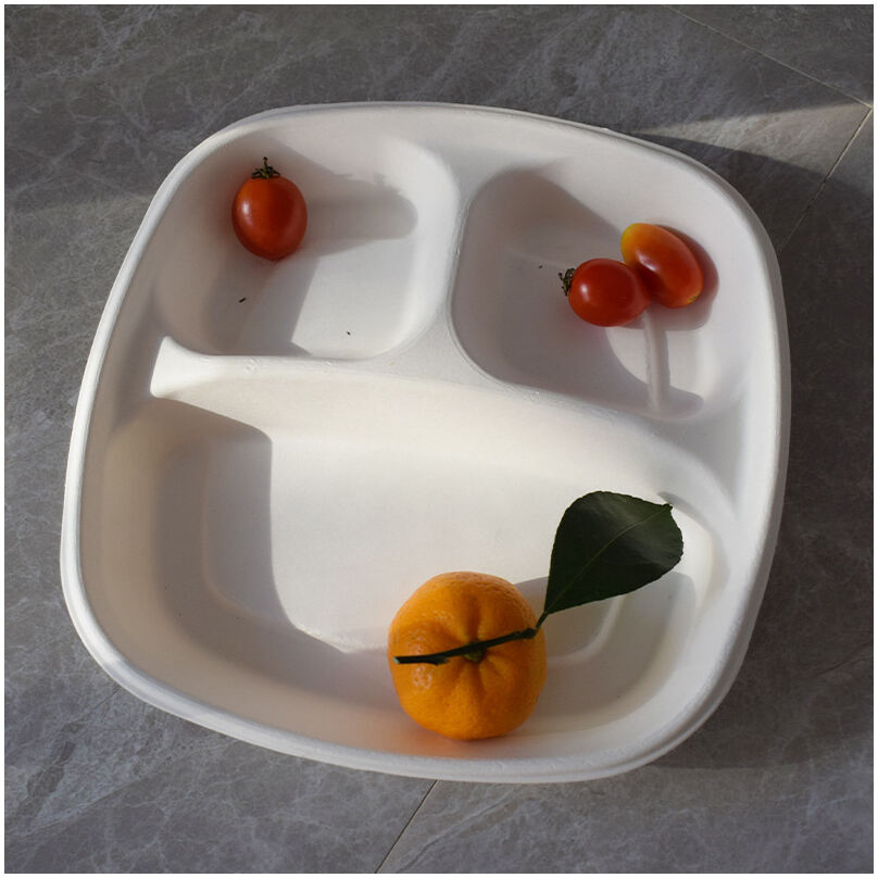 bagasse container场景图 (591).jpg