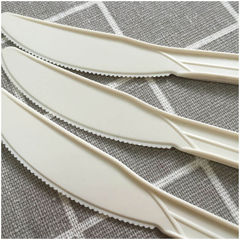 bagasse cutlery场景图 (5).jpg