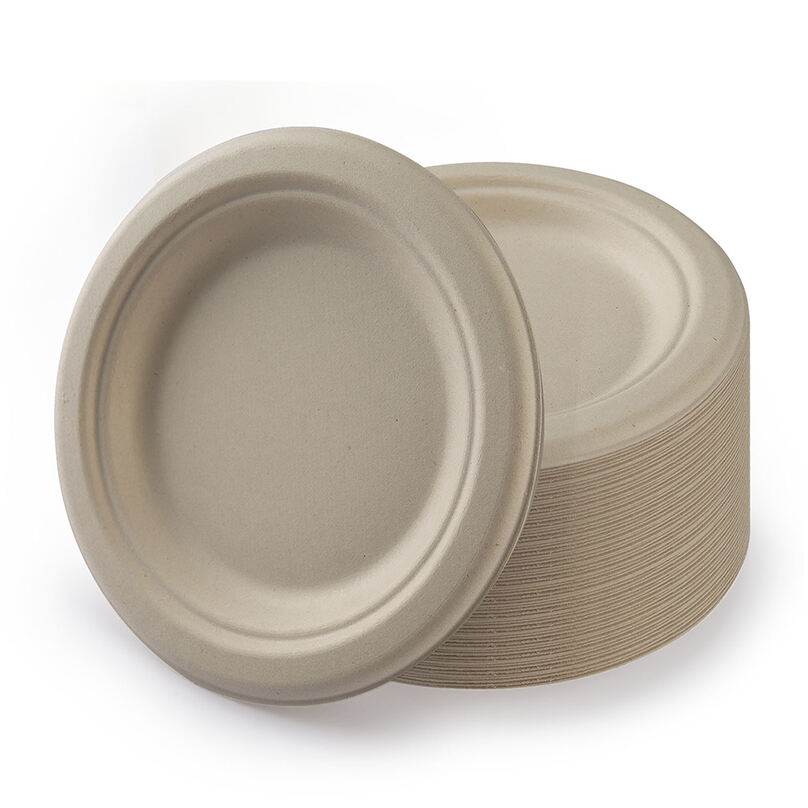 Sugarcane Disposable Plates
