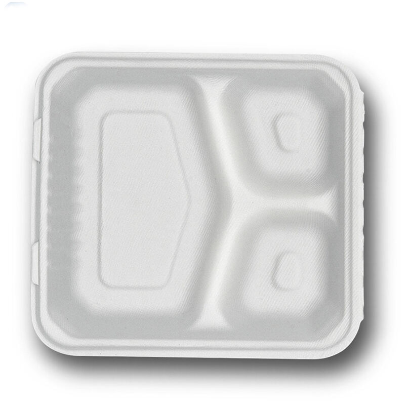 Sugarcane Compartment Meal Boxes