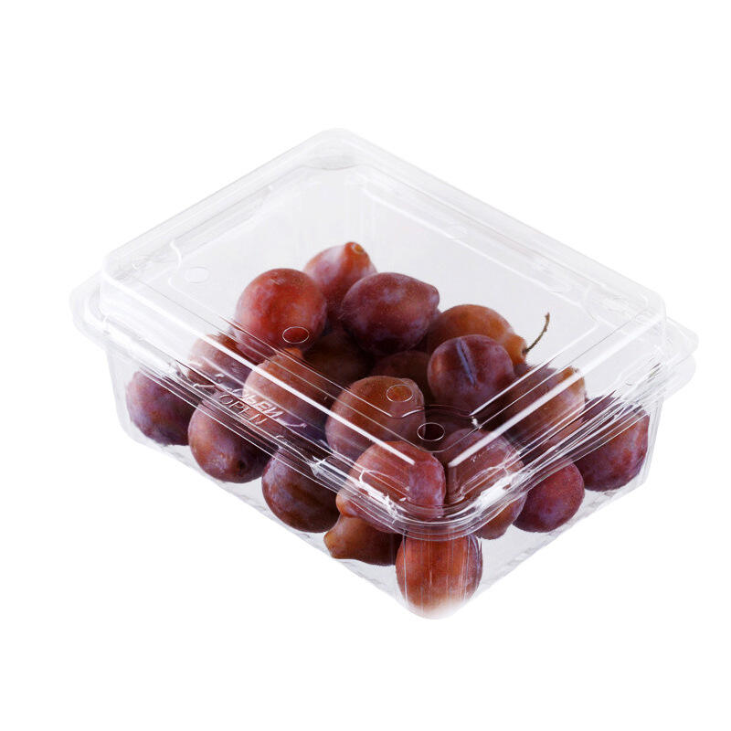 plastic container(2).jpg