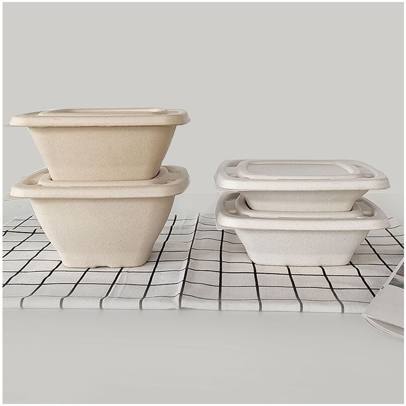 bagasse container场景图 (624).jpg