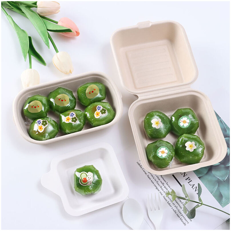 bagasse container场景图 (618).jpg