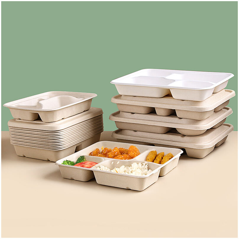 bagasse container场景图 (614).jpg