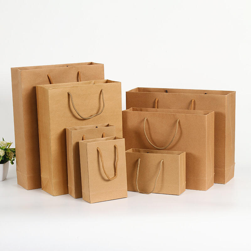 Customizable Eco Friendly Paper Bag for Retail Gifting