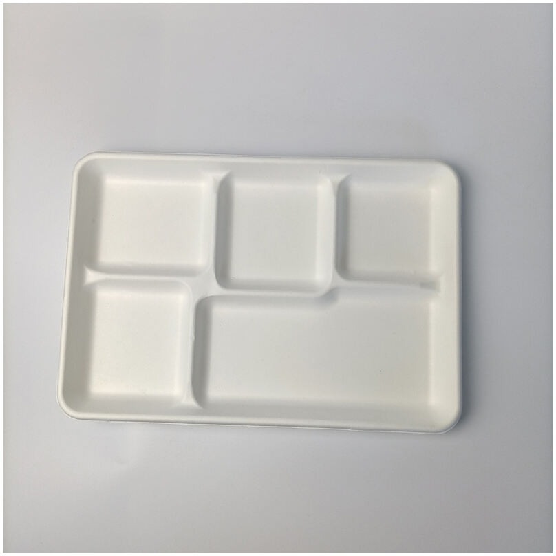 bagasse container场景图 (599).jpg