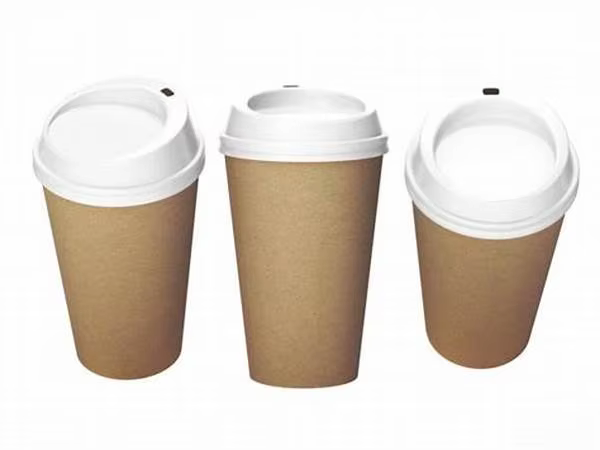 Paper Cup factory