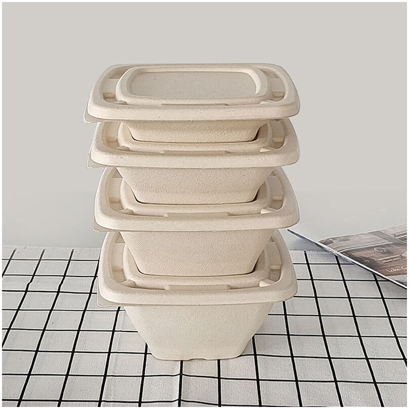 bagasse container场景图 (622).jpg