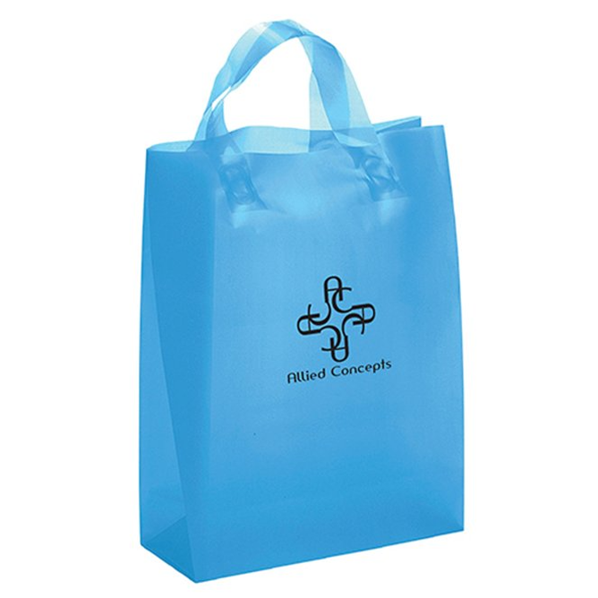 Custom Frosted Loop Handle Bags Wholesale for Retail Packaging